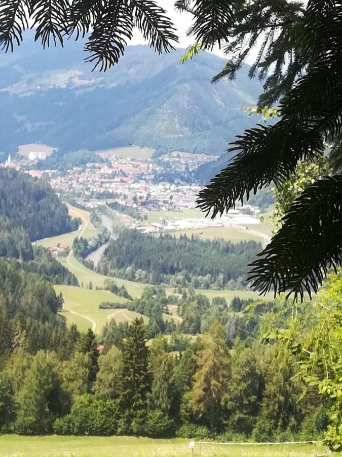 Rainerhof Daire Murau Dış mekan fotoğraf